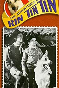 The Adventures of Rin Tin Tin (19541959)