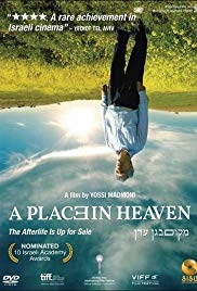 A Place in Heaven (2013)
