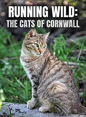 Running Wild The Cats of Cornwall (2020)